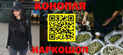 гашик Новокубанск